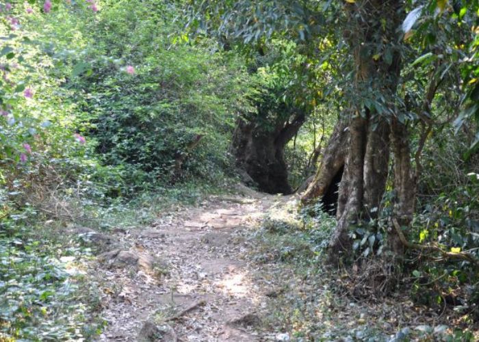 Places to visit Yelagiri photo 17