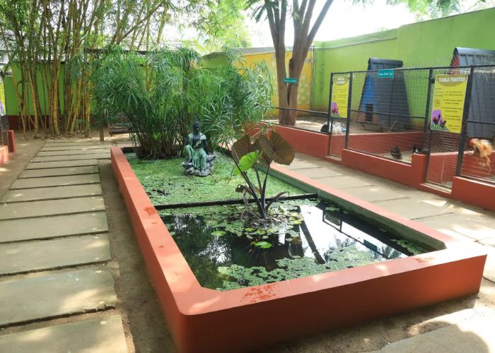 Places to visit Yelagiri photo 2